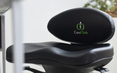 Work smart chairs CoreChair – The best chair for WFH and office