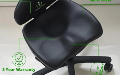 Lumbar Support Office Chairs