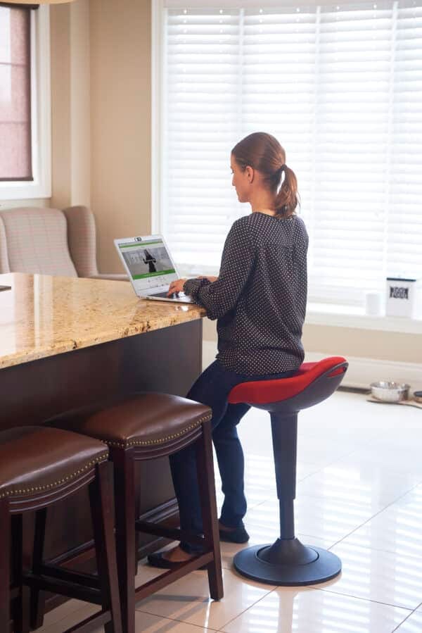 CorCh0414_293 posture and cognitive function